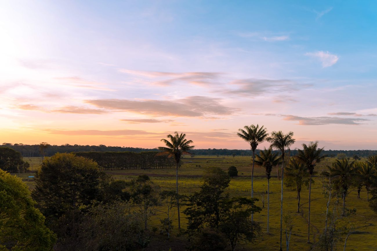 Guaviare: un departamento joven, en una región ancestral