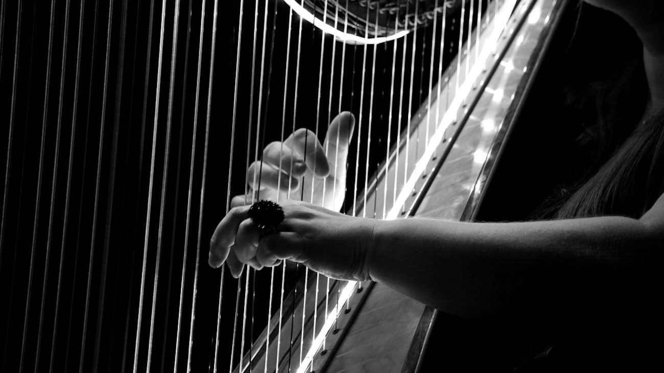 Palabras que aprendimos escuchando música llanera