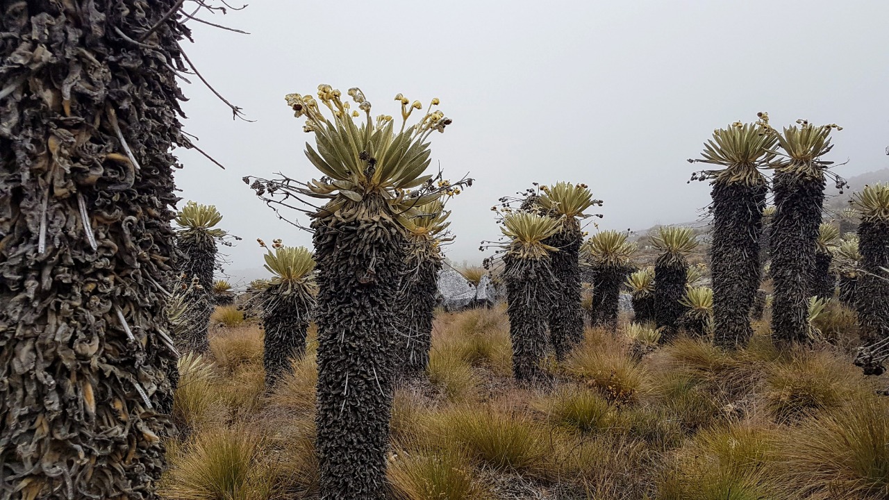Los parques naturales también cierran