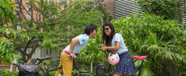 Primavera Fest 2019, esto trae la programación en Bogotá