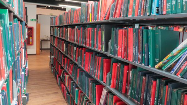 Prográmate este fin de semana con la Región Trece