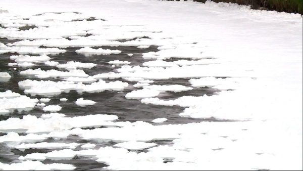 'Te lloré todo un río, Bogotá', el especial más contaminado de Fractal