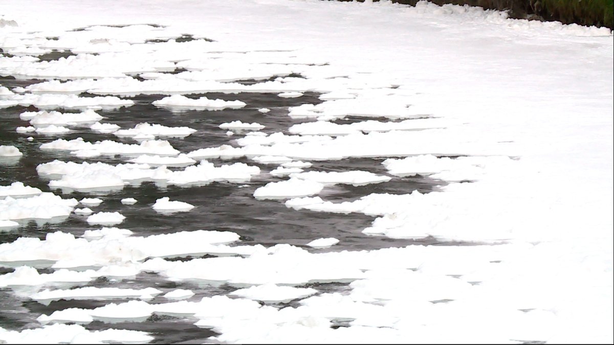 'Te lloré todo un río, Bogotá', el especial más contaminado de Fractal