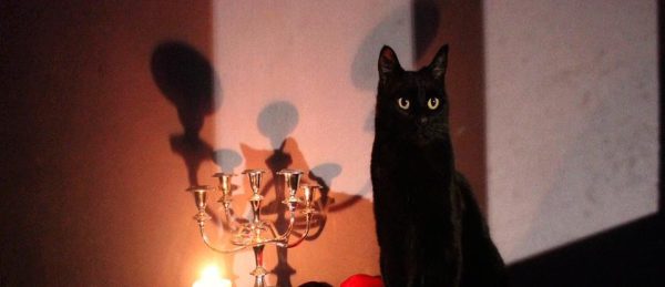 'Sabrina, la bruja adolescente', ya llegó a Netflix