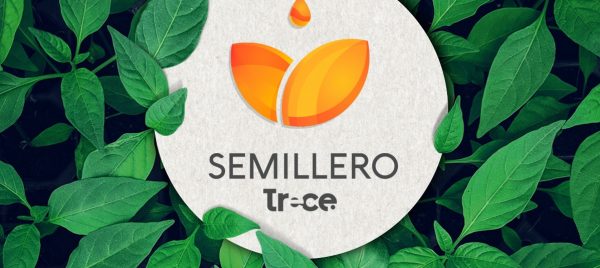 ¡Ya llegó el Semillero Trece, un espacio para las ideas!