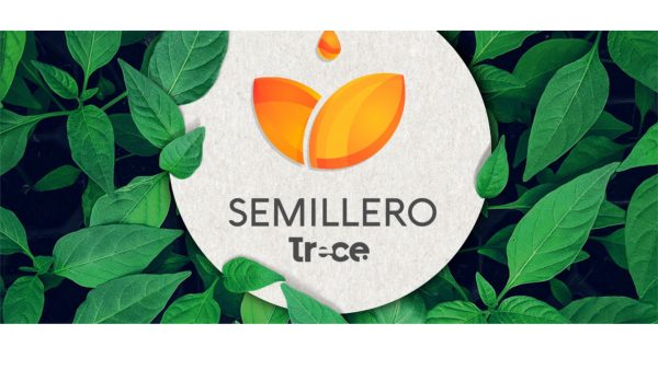 ¡Vuelve el Semillero Trece!