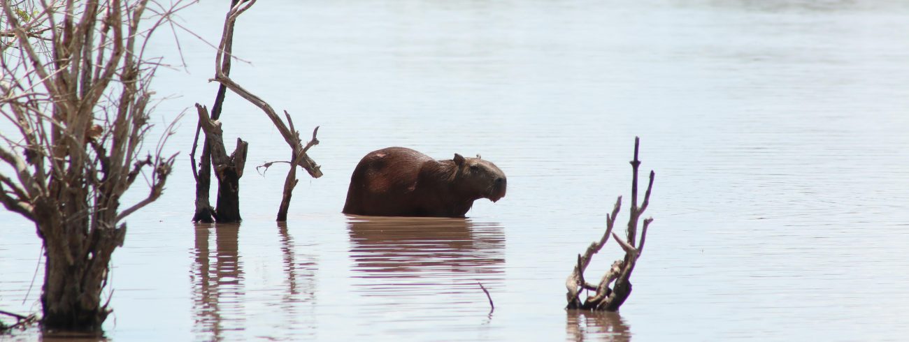 ¡A protegerse de las sequías y heladas en nuestra región!