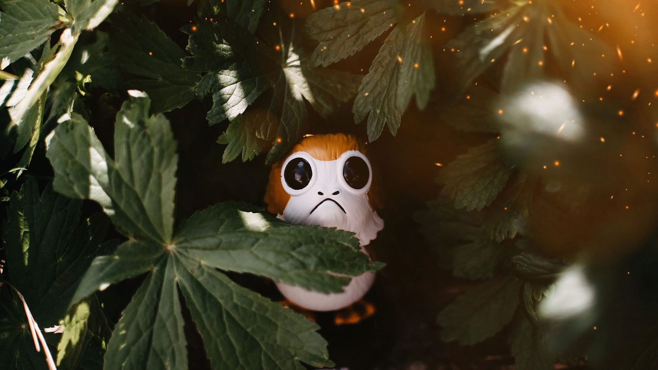 "May the 4th be with you", la historia de la frase de Star Wars