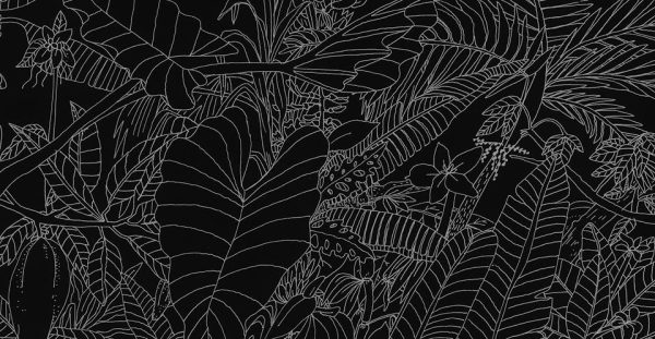 'Virus tropical' nominada a premio de animación iberoamericano