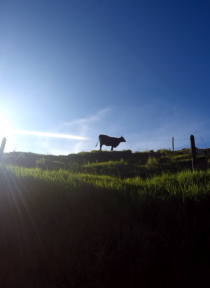 Cinco canales de Youtube para que te vuelvas amigo de las finanzas