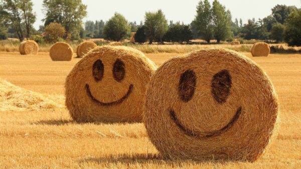 Yellow Day: ¿por qué el 20 de junio es el día más feliz del año?