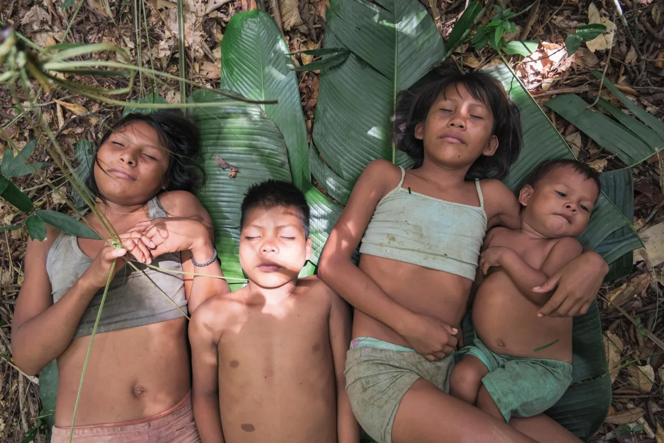 Cine colombiano: 40 días perdidos en la selva | Canal Trece