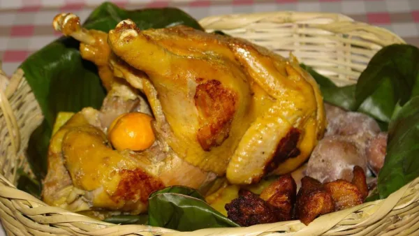 La ‘Gallina Tocaimuna’ es catalogada como la mejor de Cundinamarca