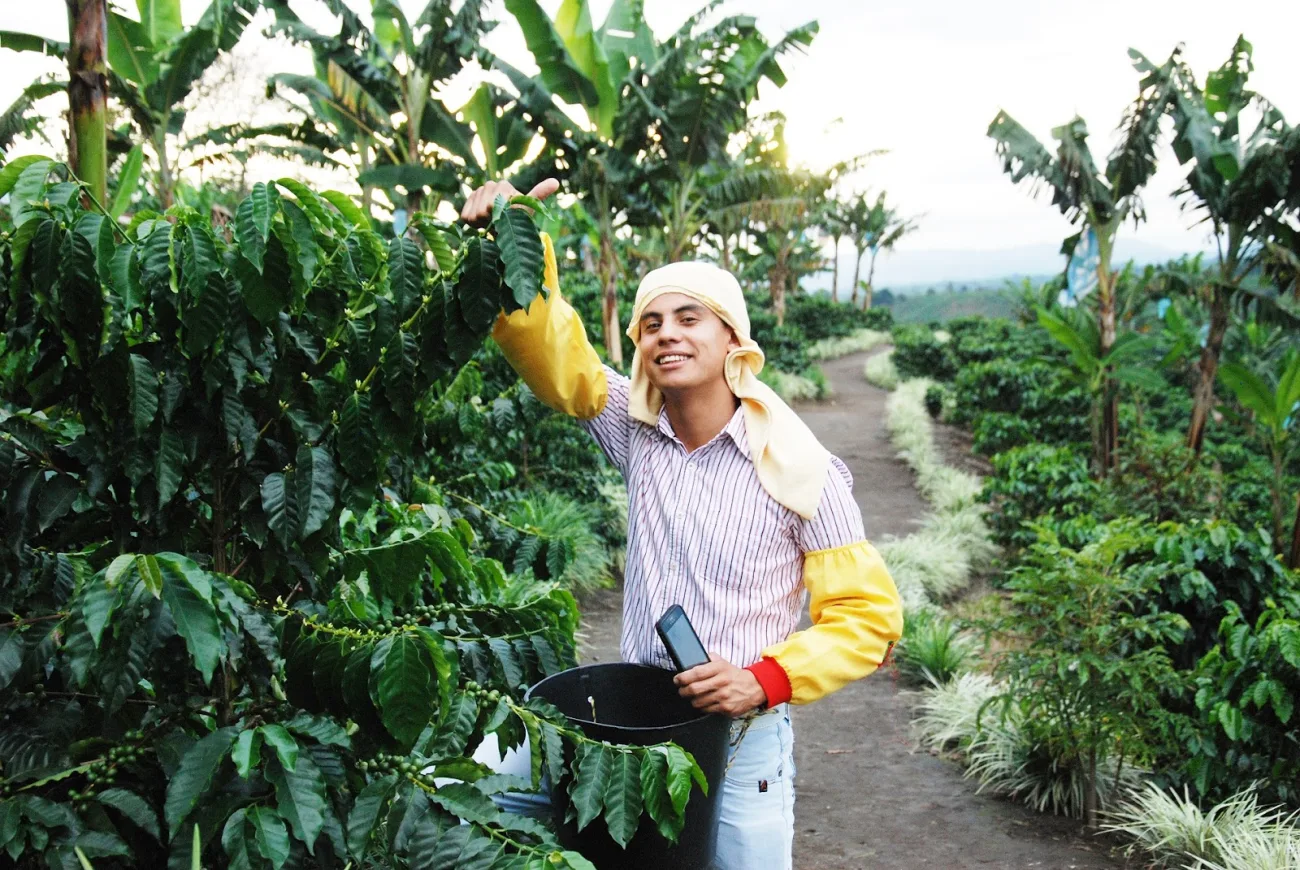 Fiesta Nacional del Café 2024, dónde se celebra y cronograma de eventos