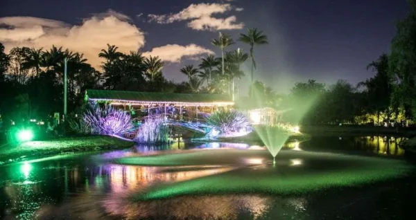 Evento Nocturno Jardín Botánico