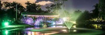 Jardín Botánico Nocturno: Horarios y Recomendaciones