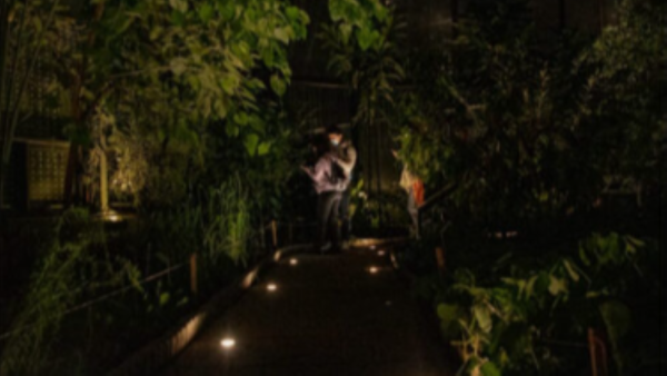 Jardín Botánico Nocturno  