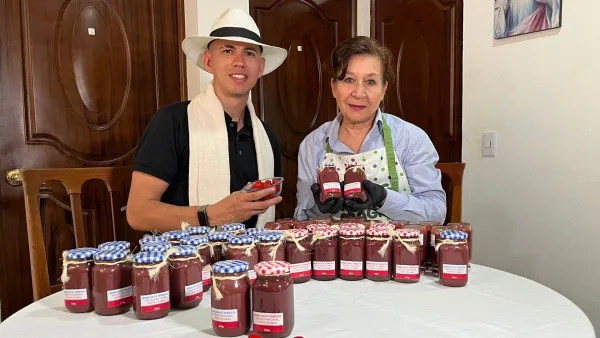 La frambuesa es un producto de gran impacto económico en Tibirita