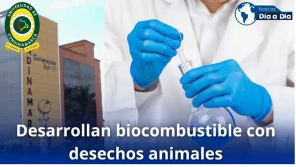 Biocombustible de residuos orgánicos