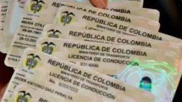 Licencias de conducción