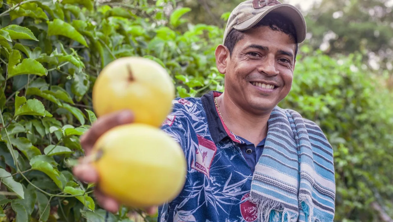 Emprendimiento colombiano lleva las frutas exóticas a mercados internacionales