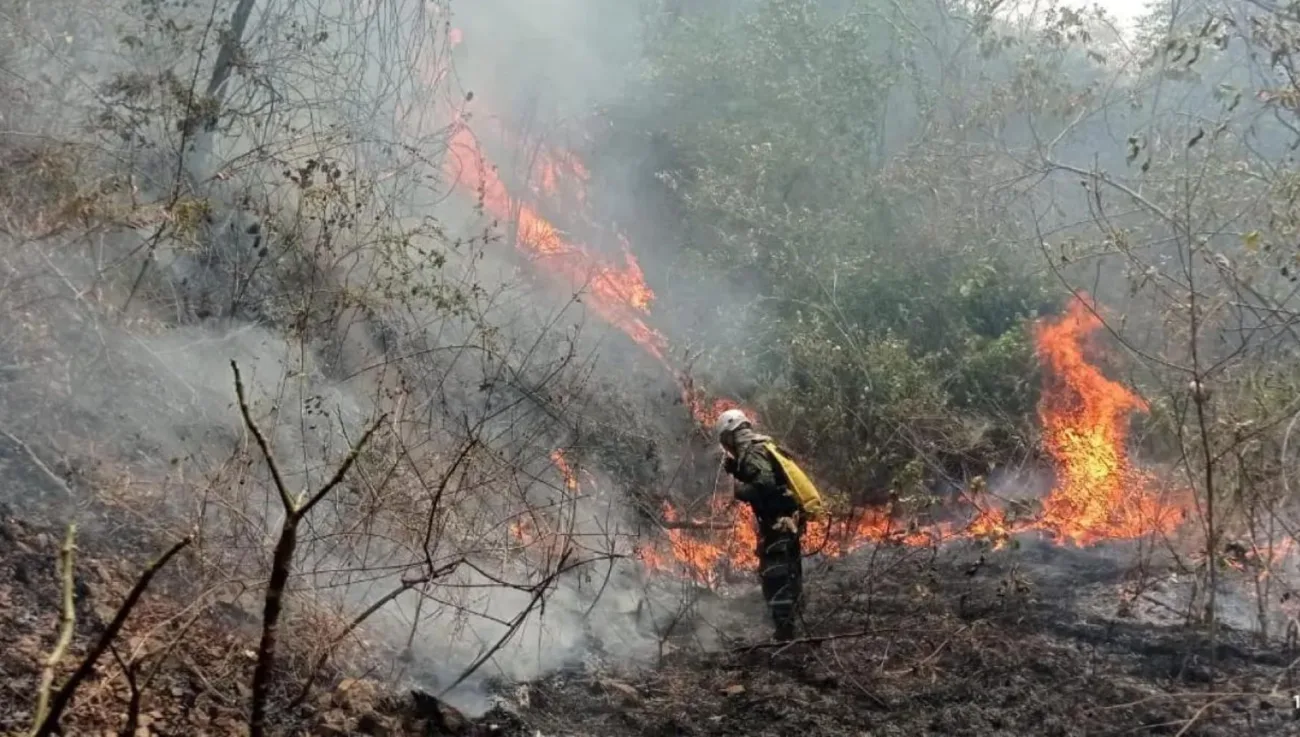 Estado de calamidad pública por incendios forestales en Huila