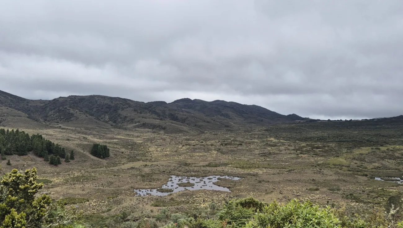 Asociación rescata la biodiversidad del páramo a través de la crianza de las abejas  