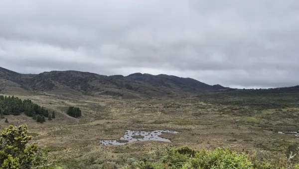 Asociación rescata la biodiversidad del páramo a través de la crianza de las abejas  
