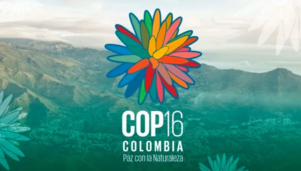 ¿Qué es la COP16? Todo sobre el encuentro internacional para la protección de la biodiversidad