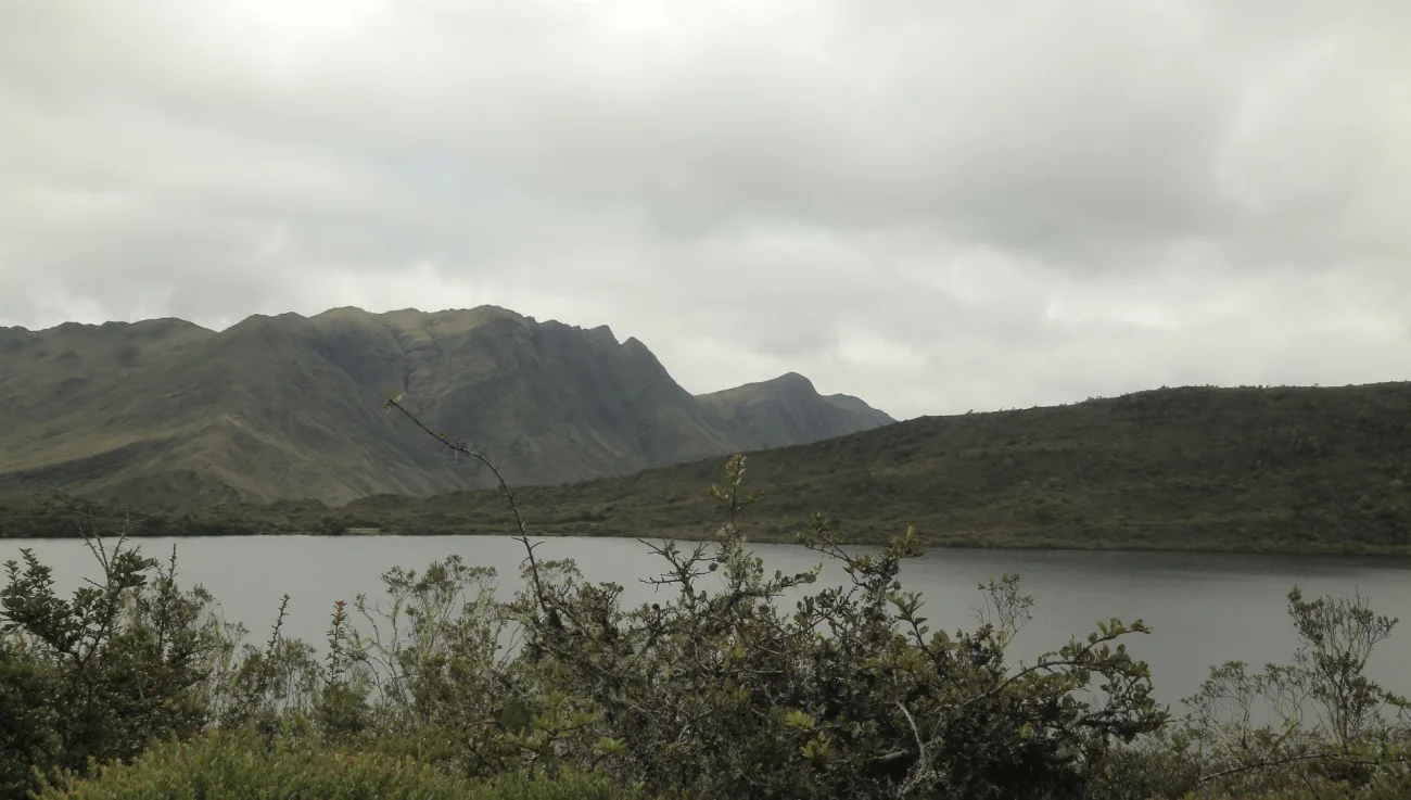 Aguáticos: Un viaje a las joyas hídricas de Colombia