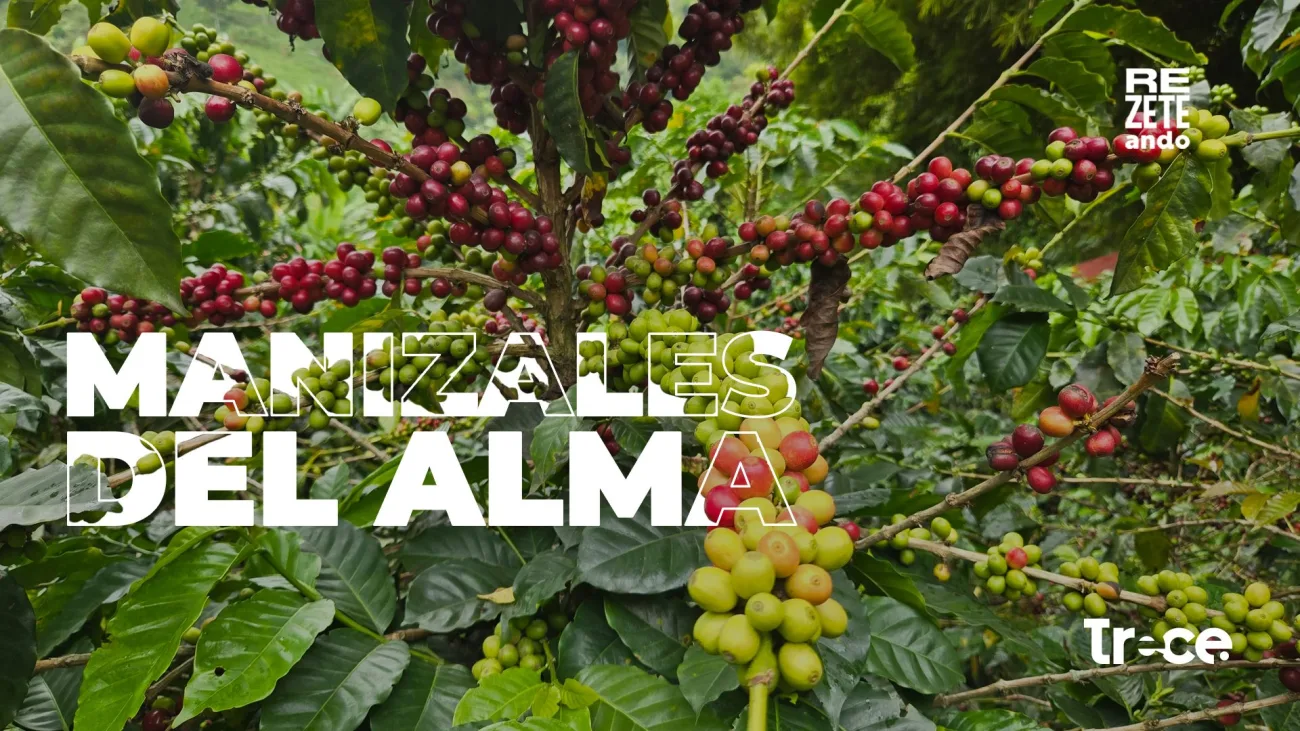 Foto Hacienda Charrascal, Manizales, por Anderson Labrador, @zetadj Canal Trece.