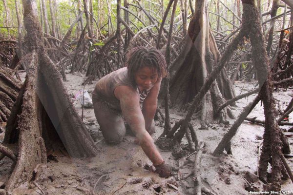 DIA MUNDIAL MANGLARES