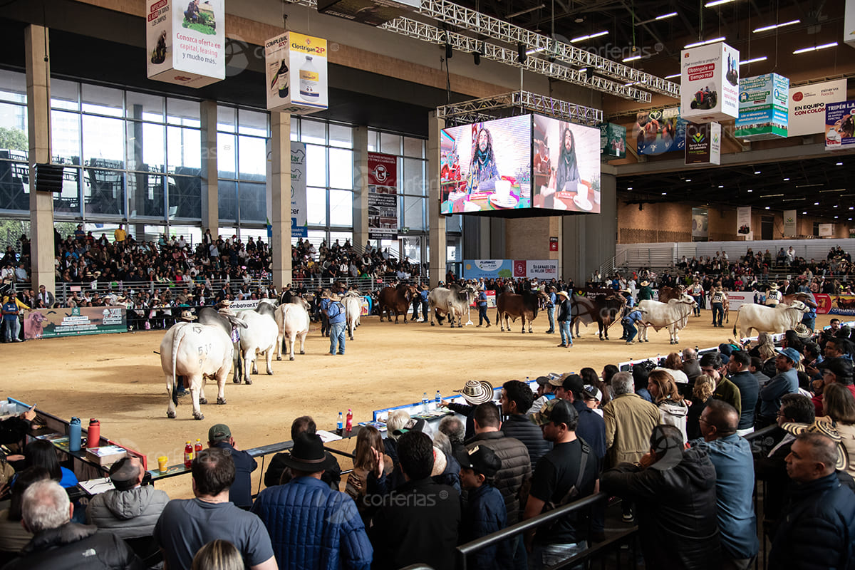 INICIO AGROEXPO 2025