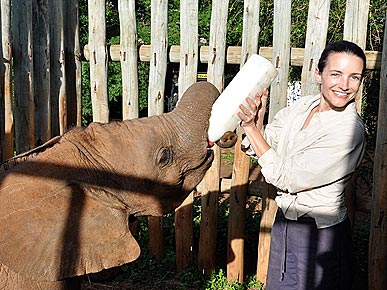 DIA-DE-LOS-ELEFANTES