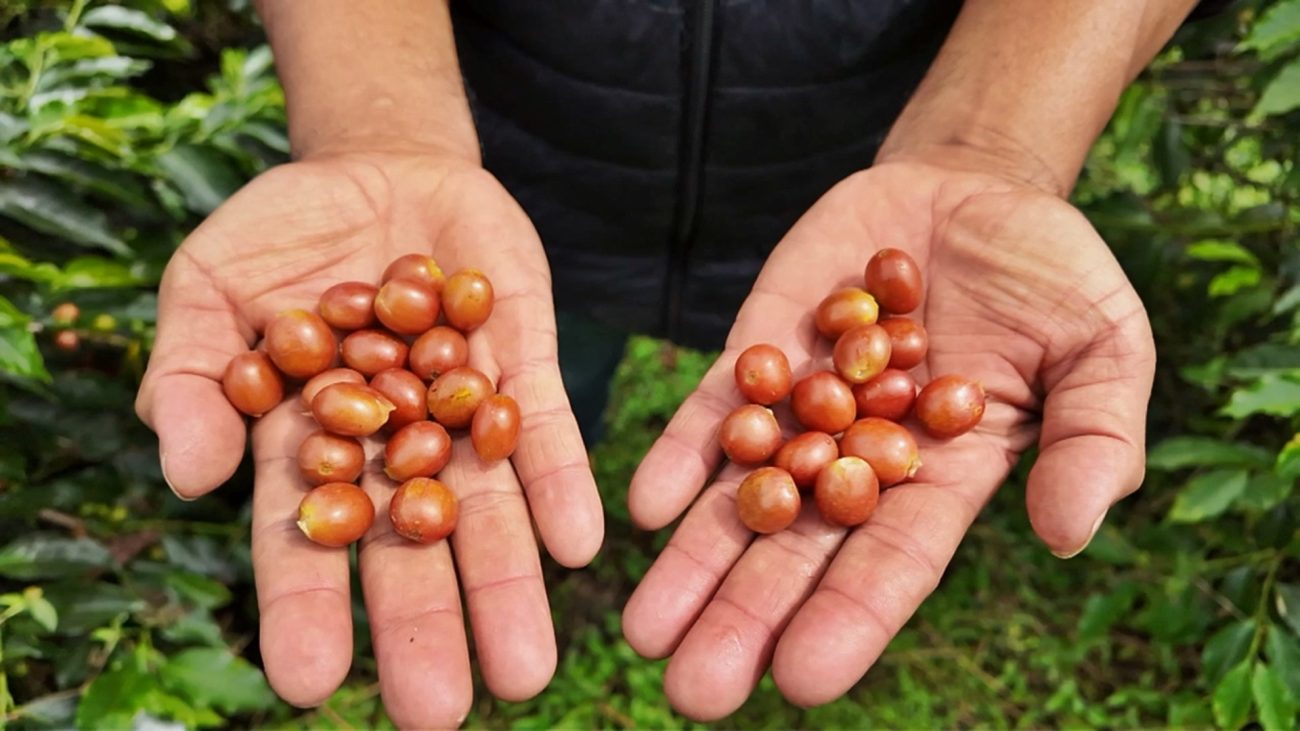 Magnífica Región Trece