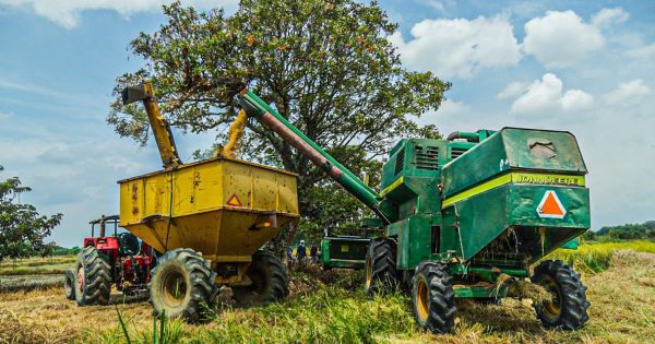 La Agencia de Desarrollo Rural fortalece alianzas productivas con pueblos indígenas en Colombia