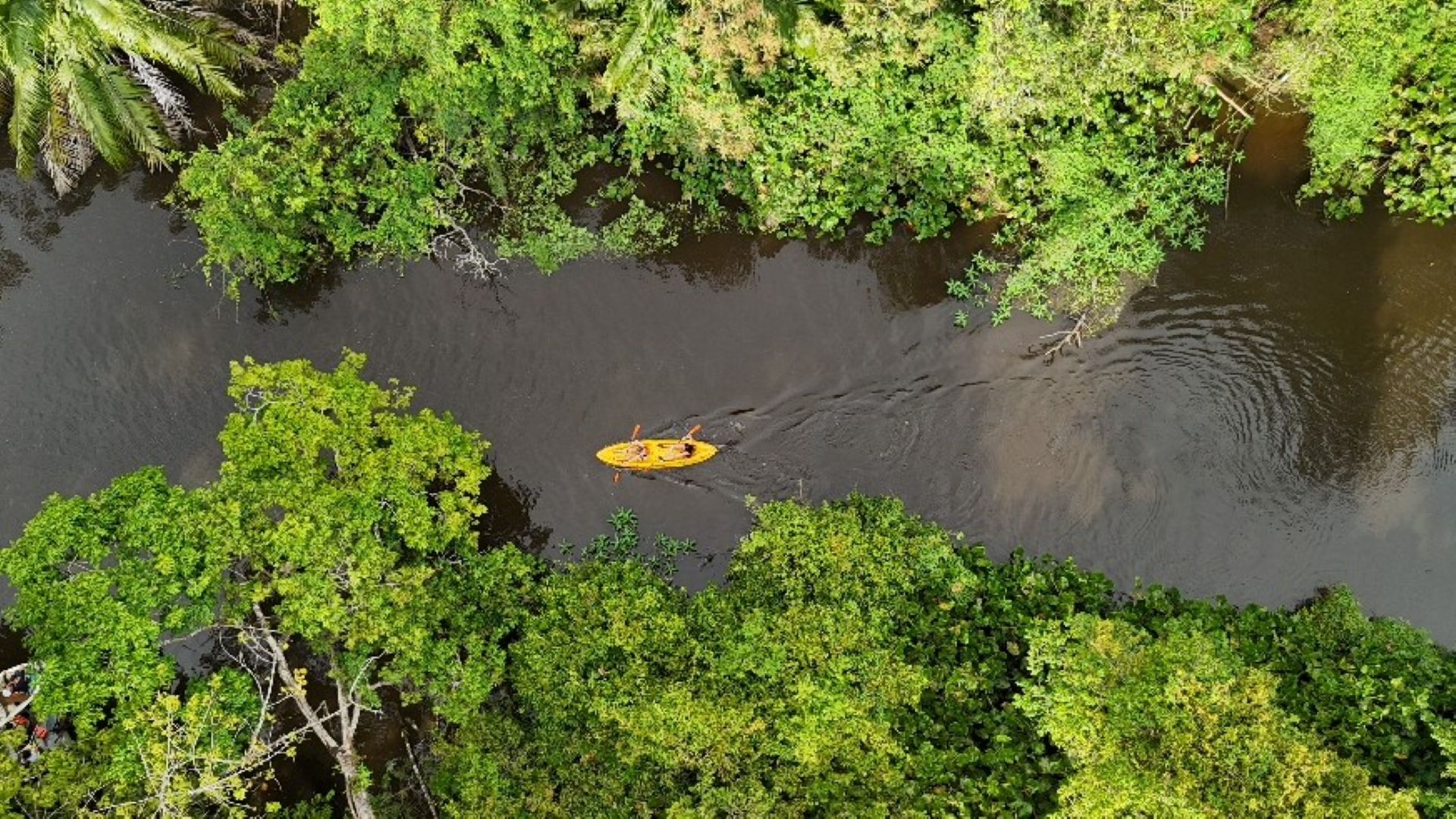Viajar con propósito: el camino sostenible que recorre Colombiar por el País de la Belleza