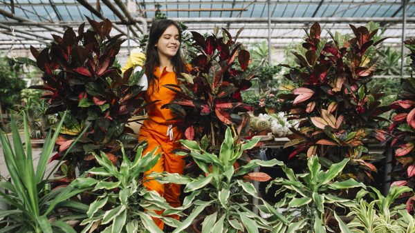 Turismo ecológico: jardines botánicos que conectan a Colombia con la naturaleza