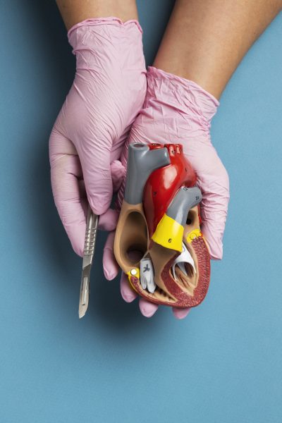 Día Mundial de la Donación de Órganos: donar es dar vida