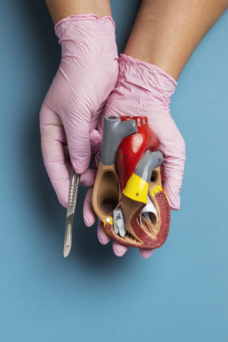 Día Mundial de la Donación de Órganos: donar es dar vida