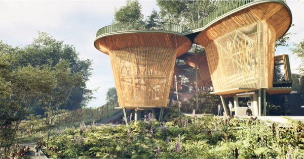 Valle del Cauca impulsa cinco proyectos para fortalecer el turismo sostenible