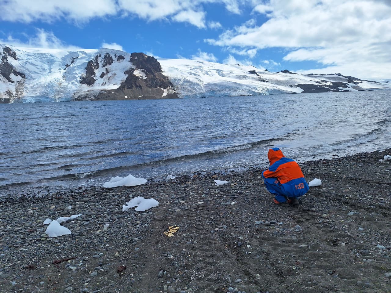 Un colombiano en la Antártida: la investigación que alertó sobre moscas invasoras en el continente blanco
