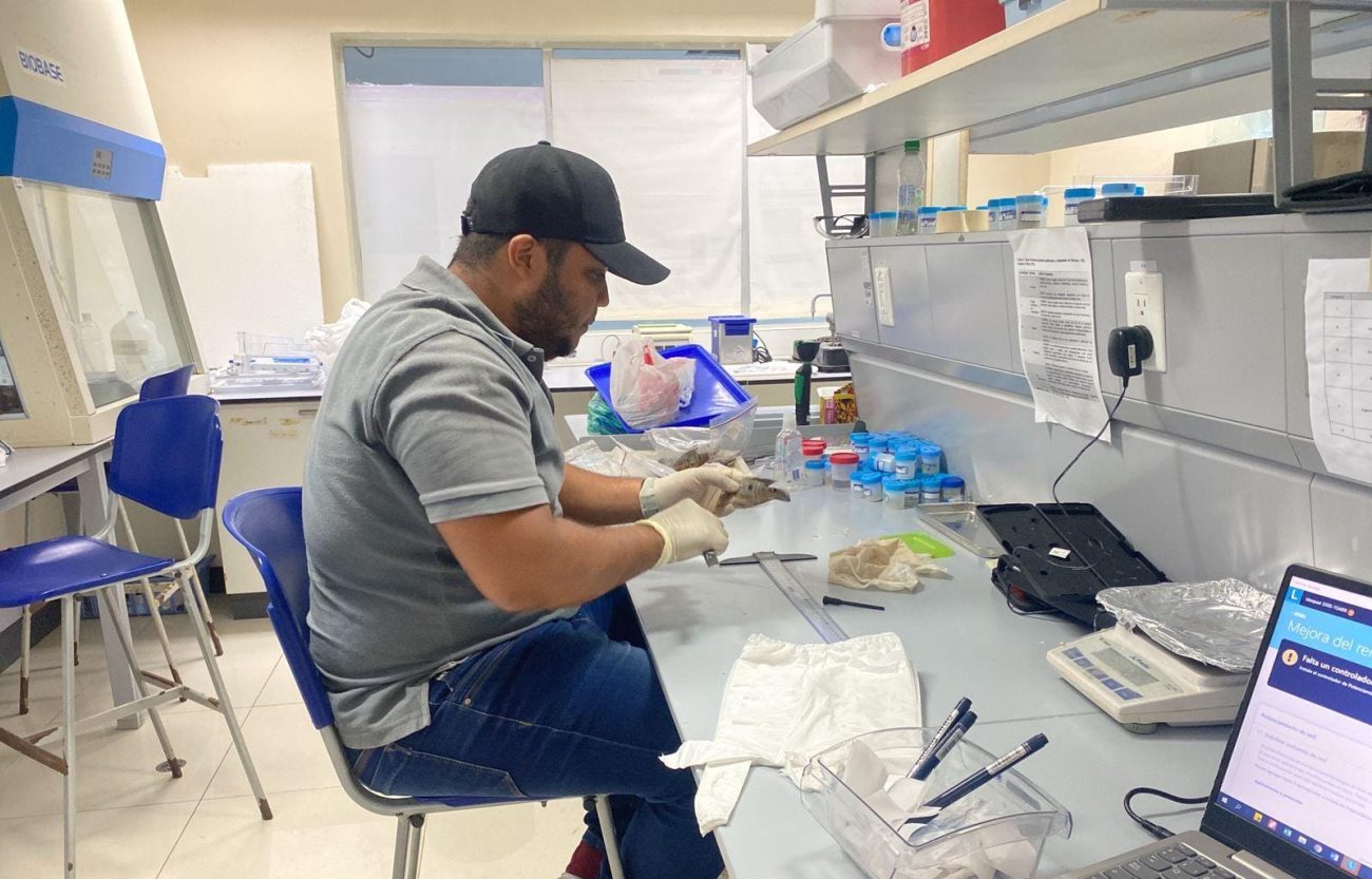 Un colombiano en la Antártida: la investigación que alertó sobre moscas invasoras en el continente blanco