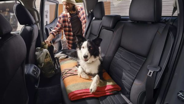 Nissan promueve viajes pet friendly en el Día de Amar a tu Mascota