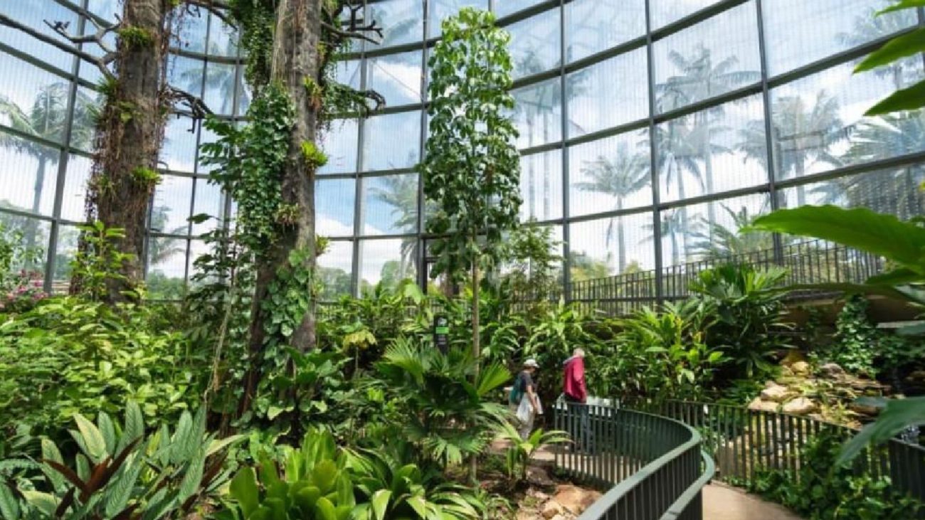 Naturaleza, cultura y ciencia: la agenda del Jardín Botánico para mayo en Bogotá