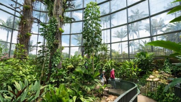 Naturaleza, cultura y ciencia: la agenda del Jardín Botánico para mayo en Bogotá