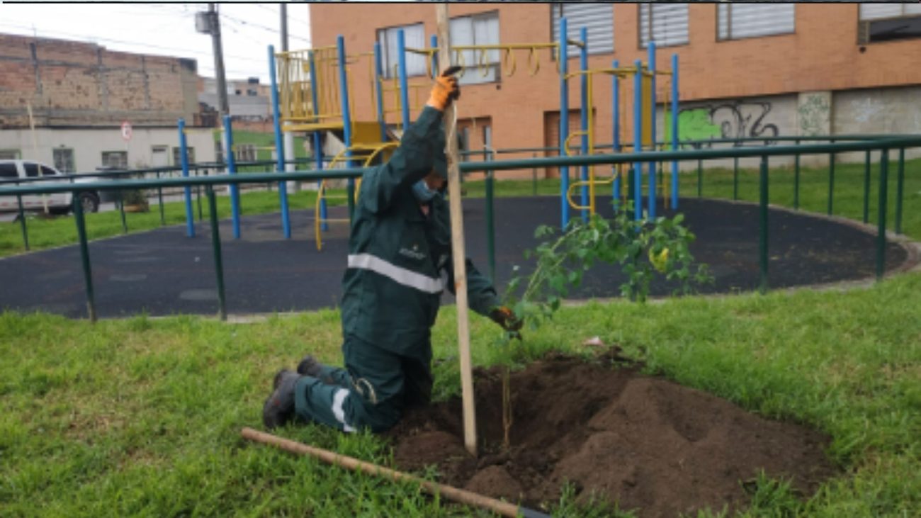 El Cuco: ¿Dónde queda el barrio con el nombre más raro de Bogotá?