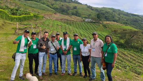 Curso de platanicultura rentable llega a La Palma, Cundinamarca