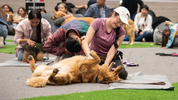 Expopet 2026 llega a Corferias para las familias interespecie