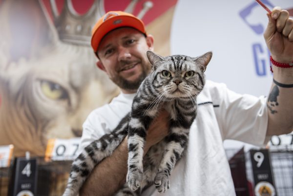 Expopet 2026 llega a Corferias para las familias interespecie